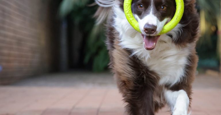 satın aldığın malzemeyi getirtmek