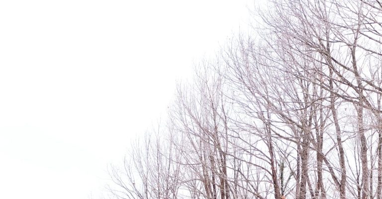 üsküdar'dan ataşehir'e kurye