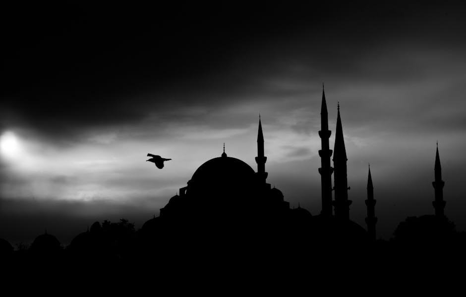 İstanbul Kurye Müşteri Sadakati Nasıl Artırılır?