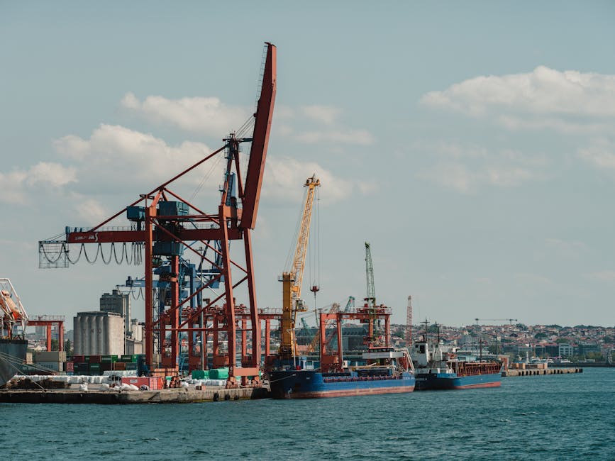 Hızlı kargo operasyon görünürlük araçları